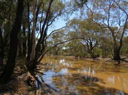 381 Wychitella Road Wedderburn VIC 3518