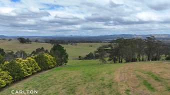 Farm Property for Sale - 1105 Old Hume Highway Alpine NSW 2575