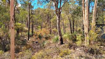 Farm Property for Sale - 35 Swallow Lane Chittering WA 6084