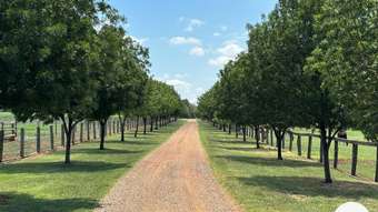 Farm Property for Sale - 470 Dalswinton Road Denman NSW 2328