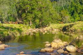 1635 Lorne Road Kerewong NSW 2439