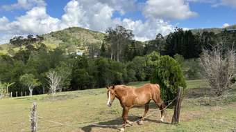 Farm Property for Sale - 23 Highfield Drive Chatsworth QLD 4570