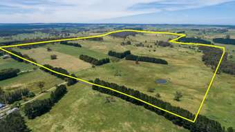 Farm Property for Sale - 331 Dog Rocks Road Black Springs NSW 2787