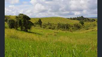 Farm Property for Sale - Lot 1 Palmerston Highway Millaa Millaa QLD 4886