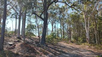 Farm Property for Sale - 53-65 Wallaby Road Redland Bay QLD 4165