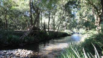 Farm Property for Sale - 444 Upper Rollands Plains Road Upper Rollands Plains NSW 2441