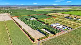 Farm Property for Sale - 243 Wises Road Alloway QLD 4670