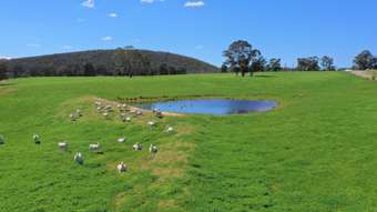 Farm Property for Sale - 360 Bulls Pit Road Marulan NSW 2579