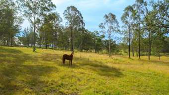 Farm Property for Sale - 116 Silverwood Avenue Temagog NSW 2440