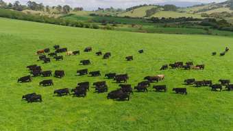 Farm Property for Sale - Dorrigo NSW 2453