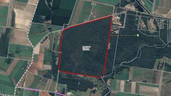 Farm Property for Sale - Lot 73 Heales Road Meadowvale QLD 4670