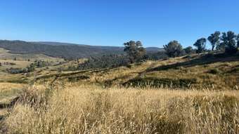 Farm Property for Sale - 1230 Maragle Road Maragle NSW 2653