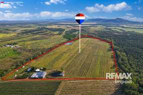 Farm Property for Sale - 67 East Dawson Road Mutchilba QLD 4872
