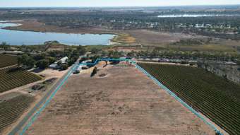 Farm Property for Sale - 7 The Avenue Waikerie SA 5330