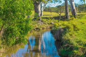 1995 Armidale Road Willawarrin NSW 2440
