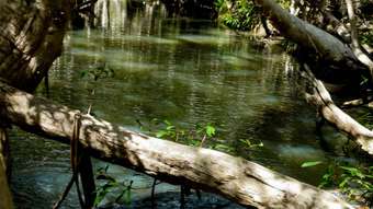 Farm Property for Sale - 123 Two Chain Road Koah QLD 4881