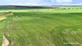 Farm Property for Sale - "Southies" Fewster Road Korbel WA 6415