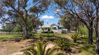 Farm Property for Sale - 2160 Castlereagh Highway Mudgee NSW 2850