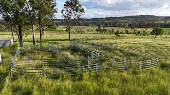 Farm Property for Sale - Lot 1 Morgans Road Windera QLD 4605