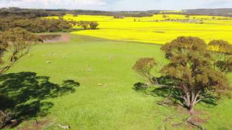 Farm Property for Sale - New Norcia Farm, Great Northern Highway New Norcia WA 6509