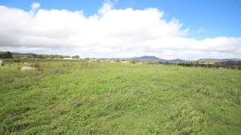 Farm Property for Sale - 255 East Street Tenterfield NSW 2372