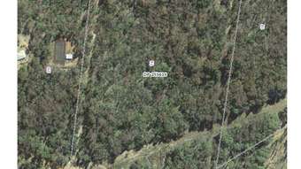 Farm Property for Sale -  Homely drive Coonabarabran NSW 2357