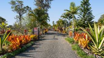 Farm Property for Sale - 75 Todd Street Torbanlea QLD 4662