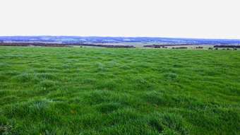 Farm Property for Sale - 960 Birregurra-Forrest Road Murroon VIC 3243