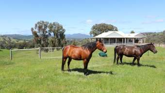 Farm Property for Sale - 508 Old Tonga Road Mansfield VIC 3722