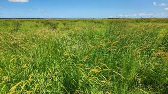 Farm Property for Sale - 458 Dimond Road, BEAVER ROCK Maryborough QLD 4650