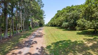 Farm Property for Sale - 345-387 Friday Hut Road Brooklet NSW 2479