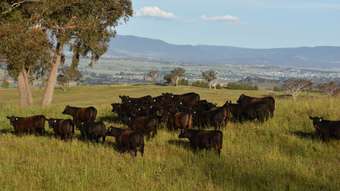 Farm Property for Sale - &amp;apos; Houses Lane Bathurst NSW 2795