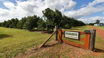 Farm Property for Sale - 740 Pine Creek Road Givelda QLD 4670