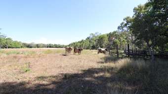 Farm Property for Sale - 118 Trent Road Alva QLD 4807