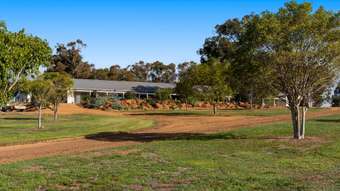 Farm Property for Sale - 38 Redgum Court Wandering WA 6308