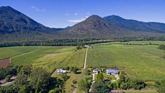 Farm Property for Sale - 163 Gillies Range Road Gordonvale QLD 4865