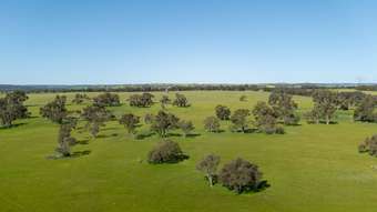 Farm Property for Sale - Mindarra WA 6503