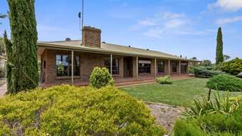 Farm Property for Sale - 83-135 South Terrace Maitland SA 5573