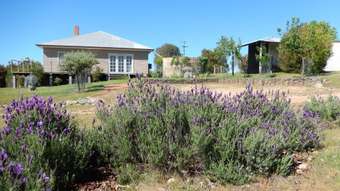 Farm Property for Sale - Trunkey Creek NSW 2795