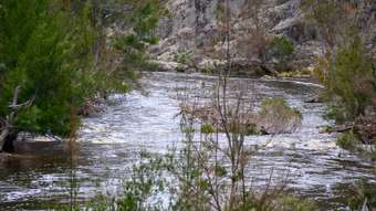 Farm Property for Sale - 270 Deloraine Road  Emmaville NSW 2371