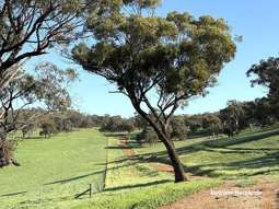 Farm Property for Sale - 967 Northam-Toodyay Road Katrine WA 6401