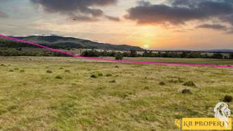 Farm Property for Sale - 939 Wave Hill Road Tarriaro NSW 2390