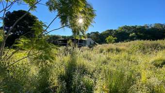 Farm Property for Sale - 174 Waterloo Road Waterloo QLD 4673