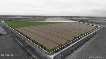 Farm Property for Sale - Myall Park NSW 2681