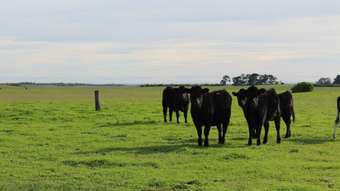 Farm Property for Sale - 135 McMasters Road Eurack VIC 3251