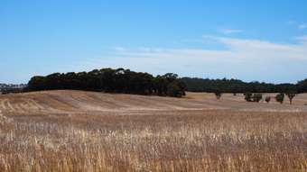 Farm Property for Sale - Glenrock Frankland-Cranbrook Road Cranbrook WA 6321
