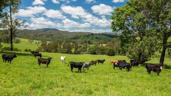 Farm Property for Sale - 310 Yessabah Road Yessabah NSW 2440