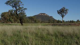 Farm Property for Sale - Lot 1, 277 Noola Road Rylstone NSW 2849