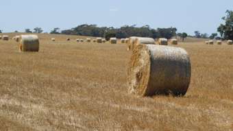 Farm Property for Sale - 13 Obst Road Bordertown South SA 5268