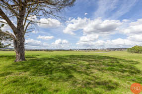 Farm Property for Sale - Anambah NSW 2320